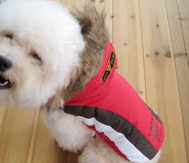 美琪妃寵Feipet 2012秋冬寵物服裝新品解析 價(jià)格、廠家與大白寵物風(fēng)尚